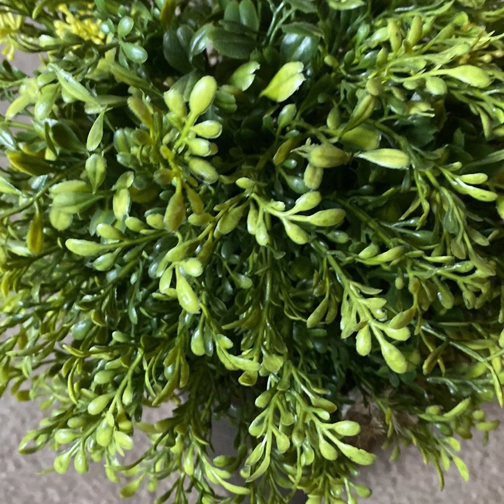 Potted Greenery